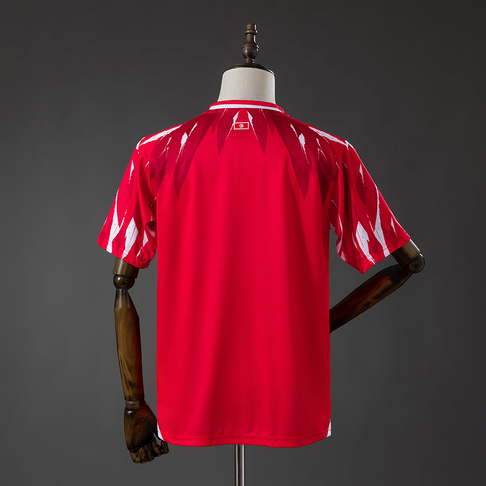 Tunisia 2026 World Cup Away