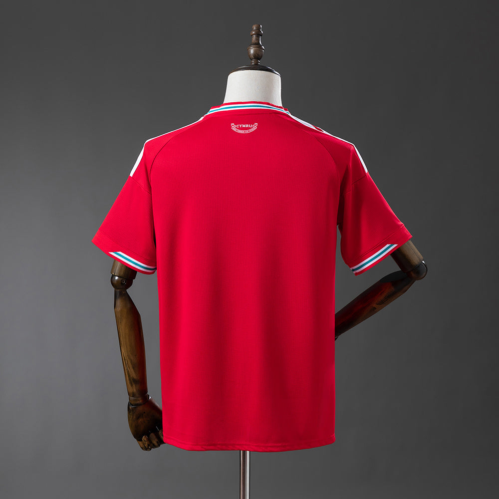 Wales 2026 Home