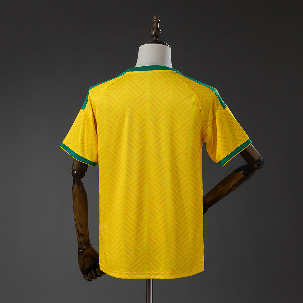 South Africa 2026 Home