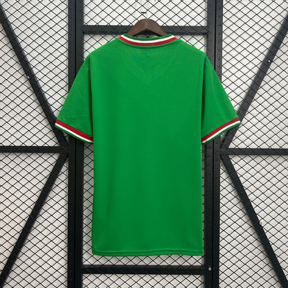Retro 1970 Mexico home