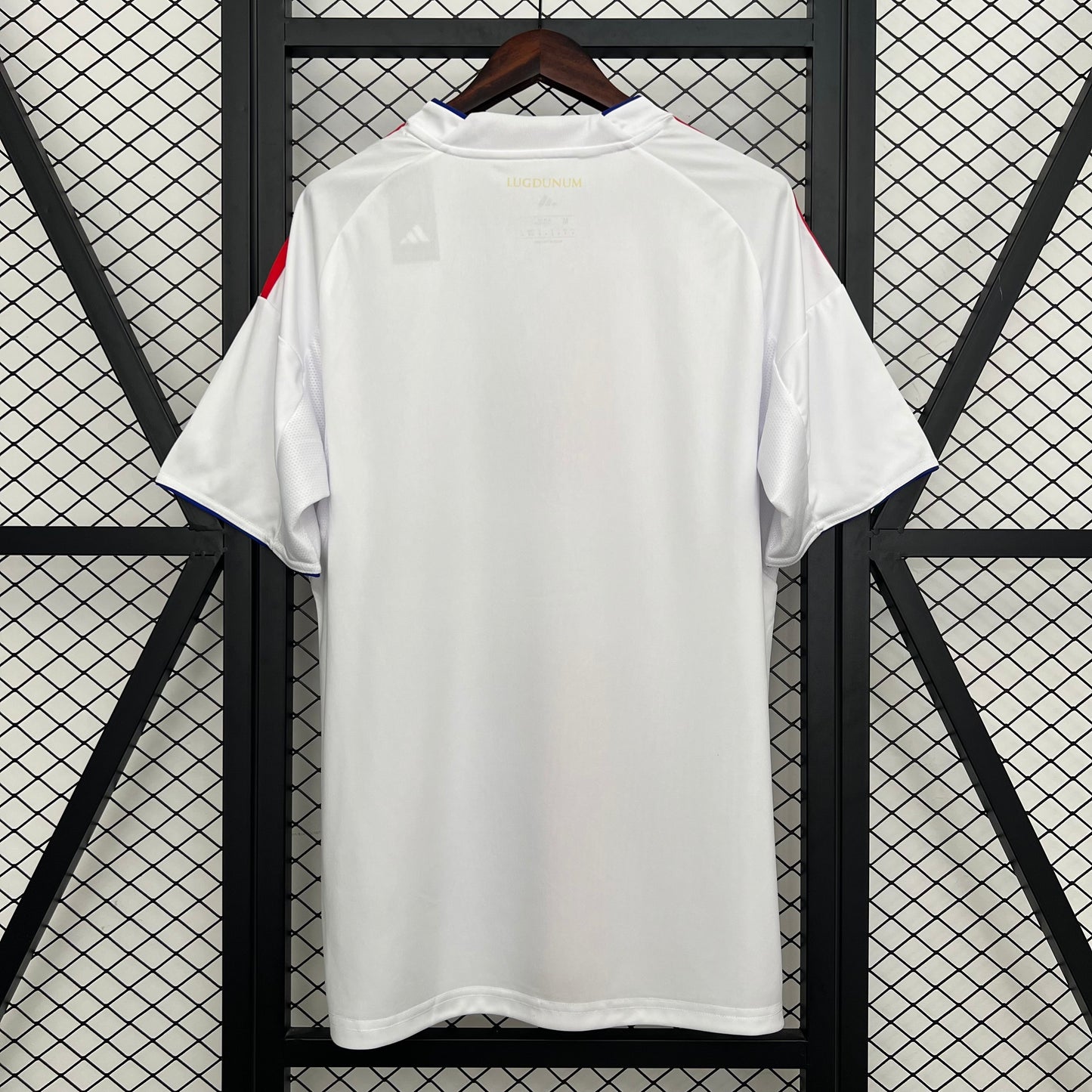 25/26 Lyon Home