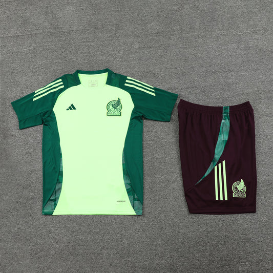 Mexico Shorts Set-Light Green and Brown