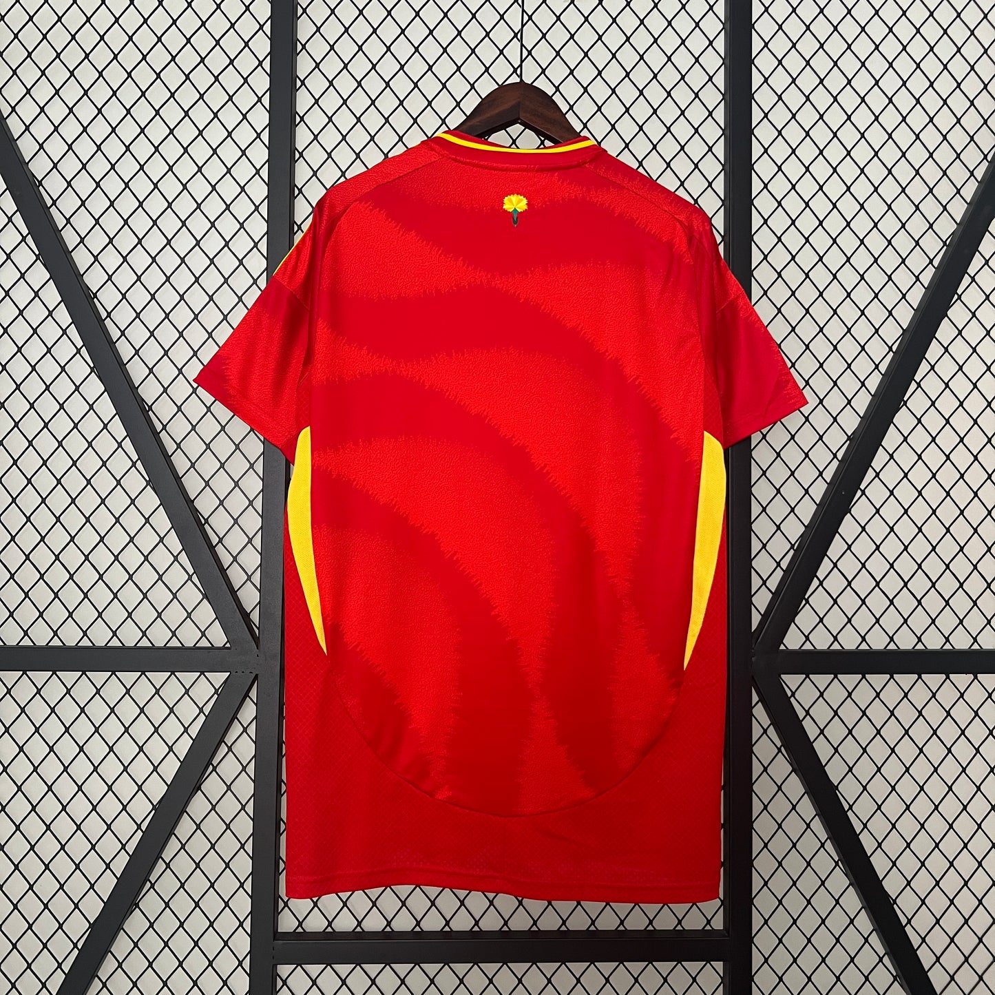 2024 Spain Home