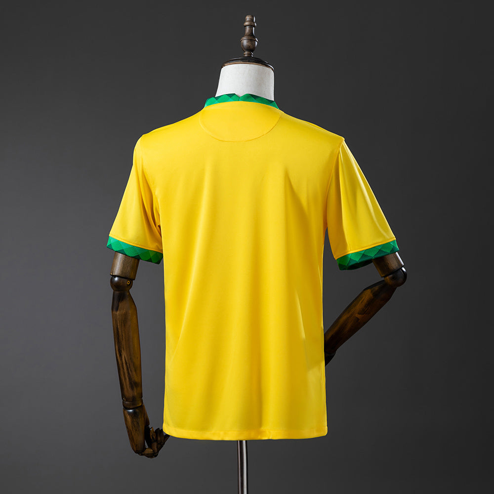 2020 Brazil home