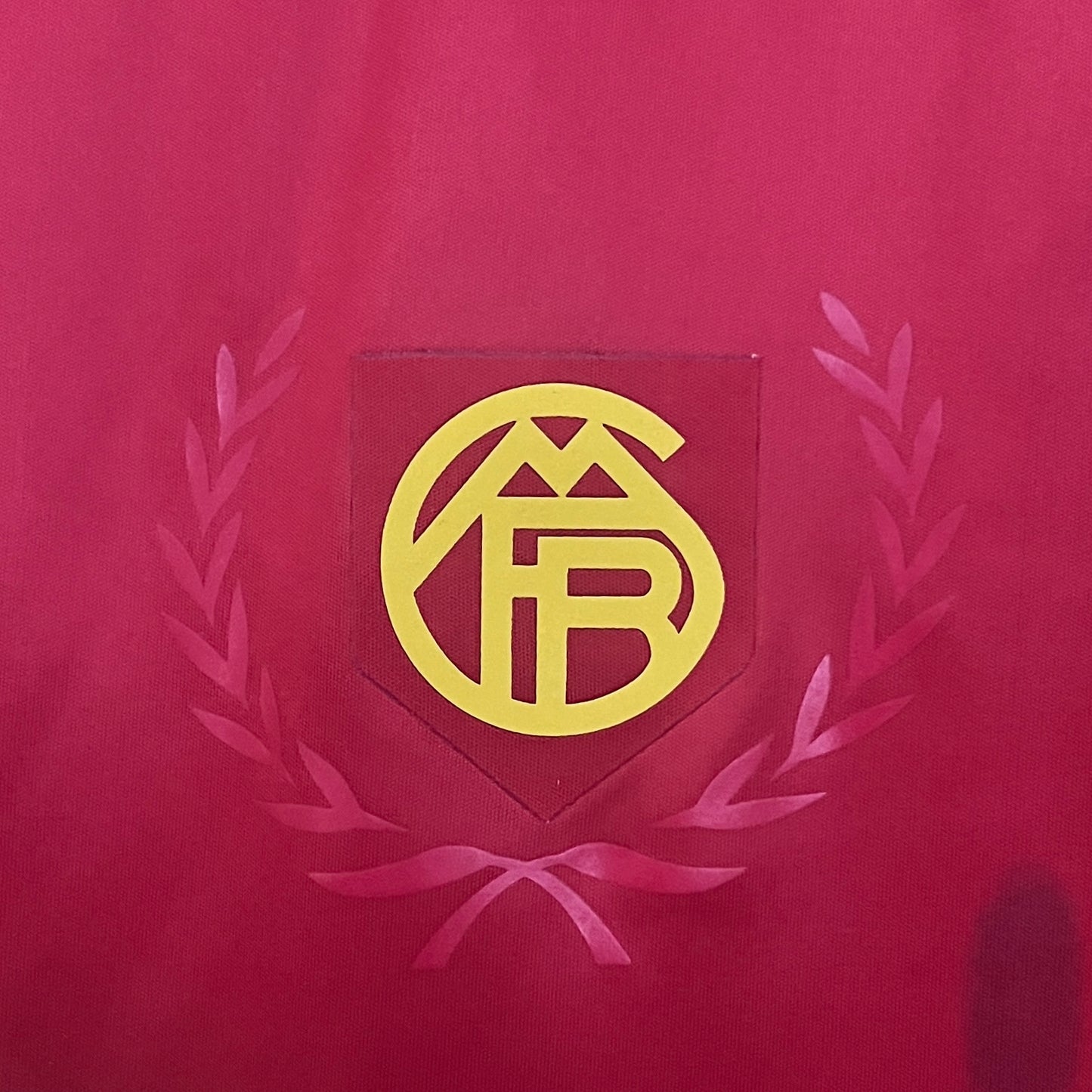 24/25 Bayern Munich Special Edition