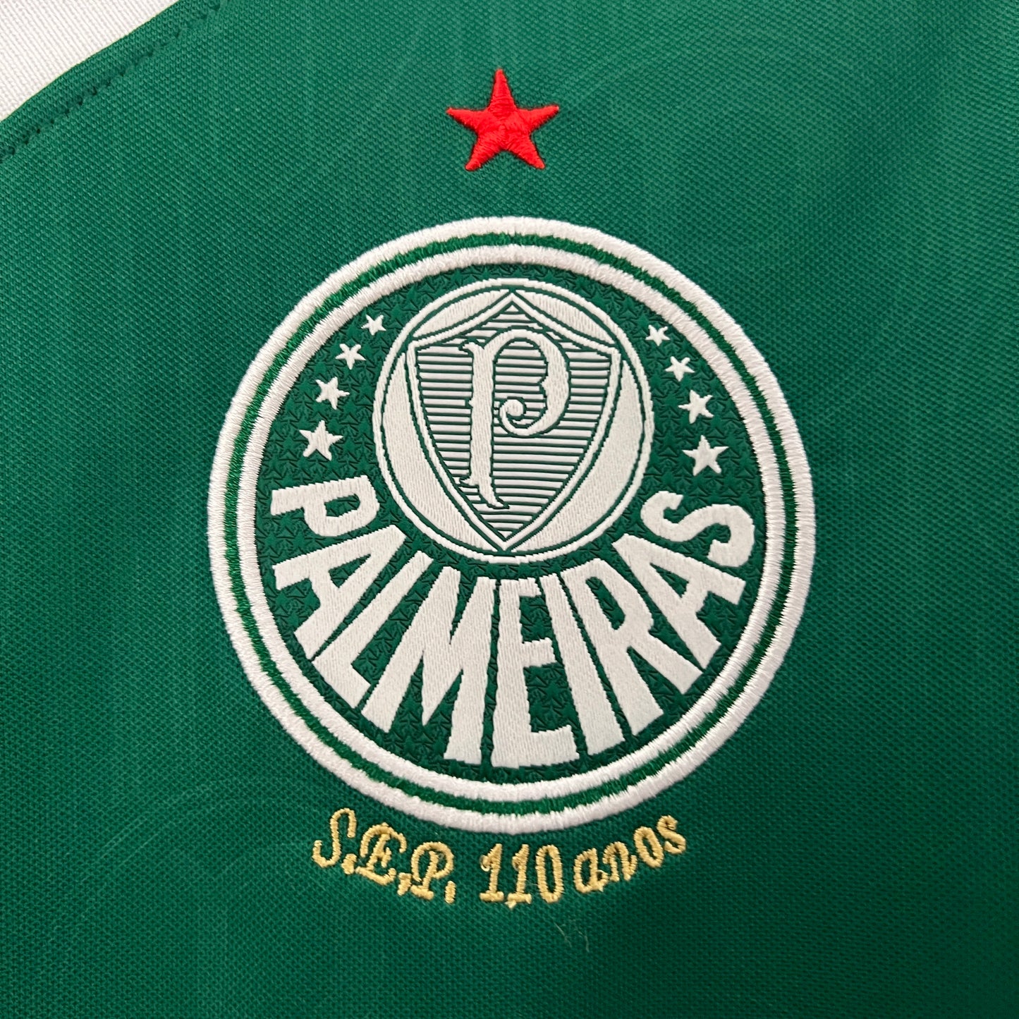 24/25 Women Palmeiras Home