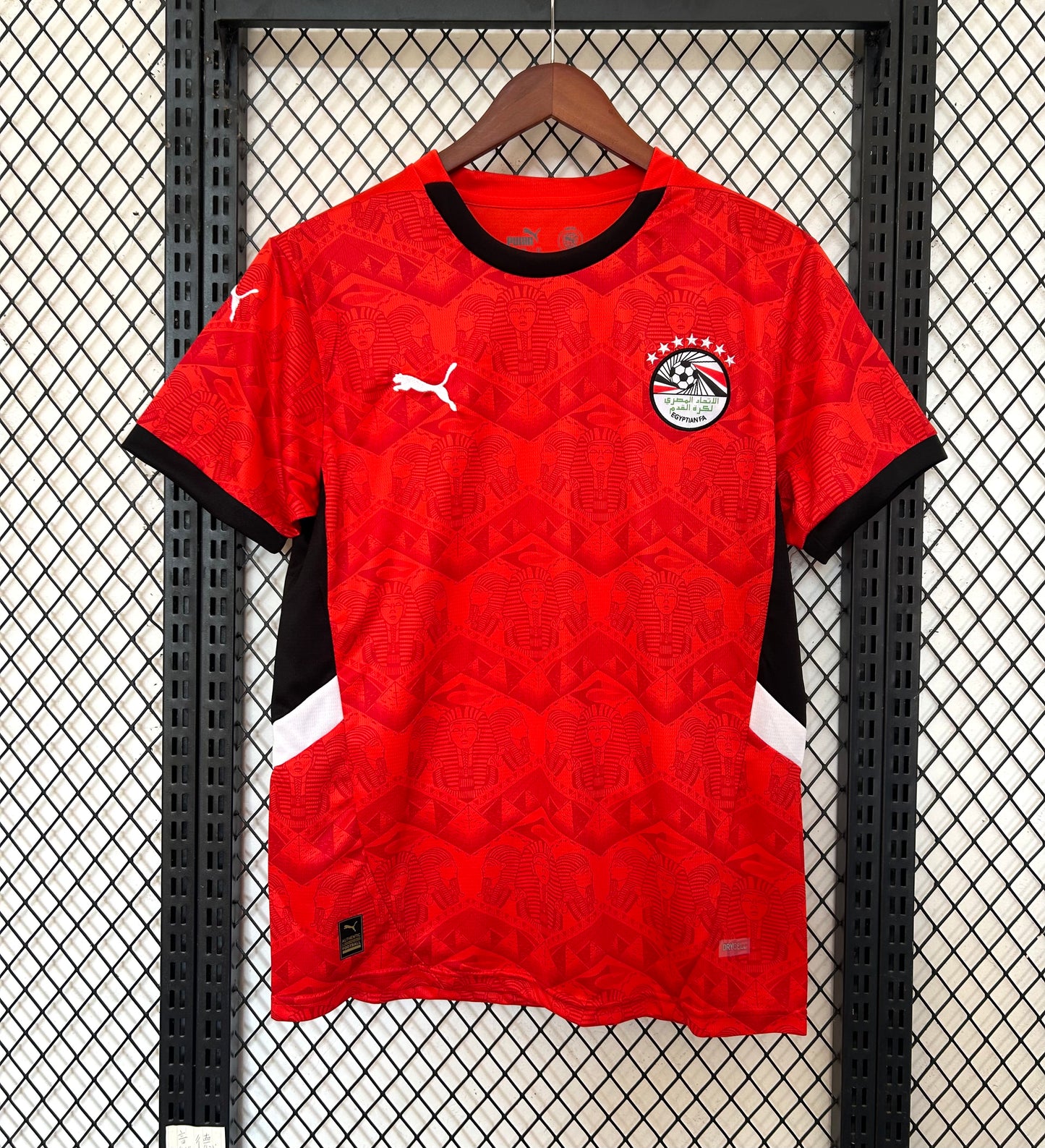 2025 Egypt Home